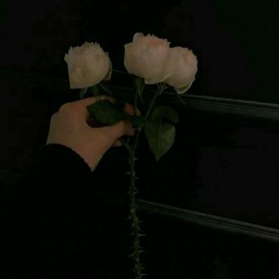 大话西行记官方版